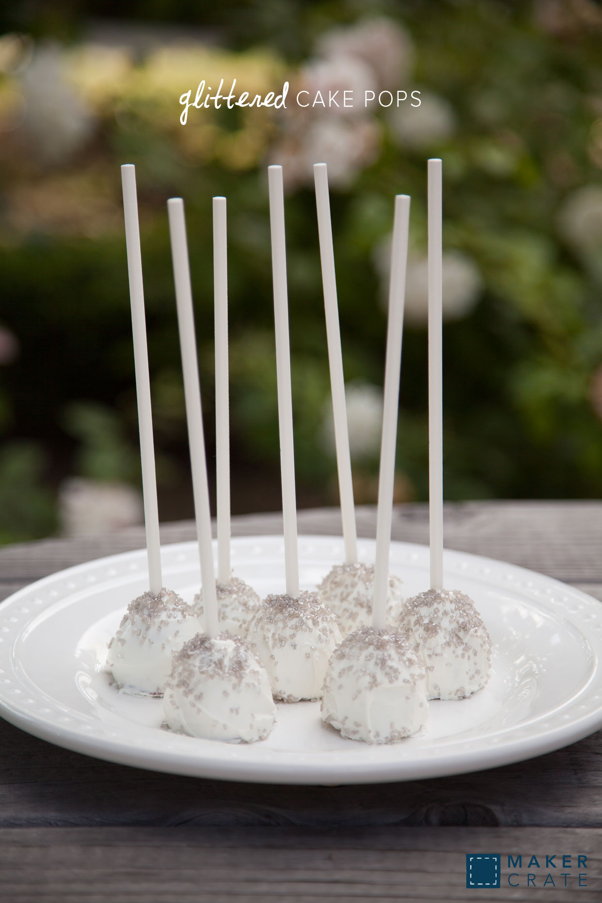 Glittered Cake Pops Maker Crate